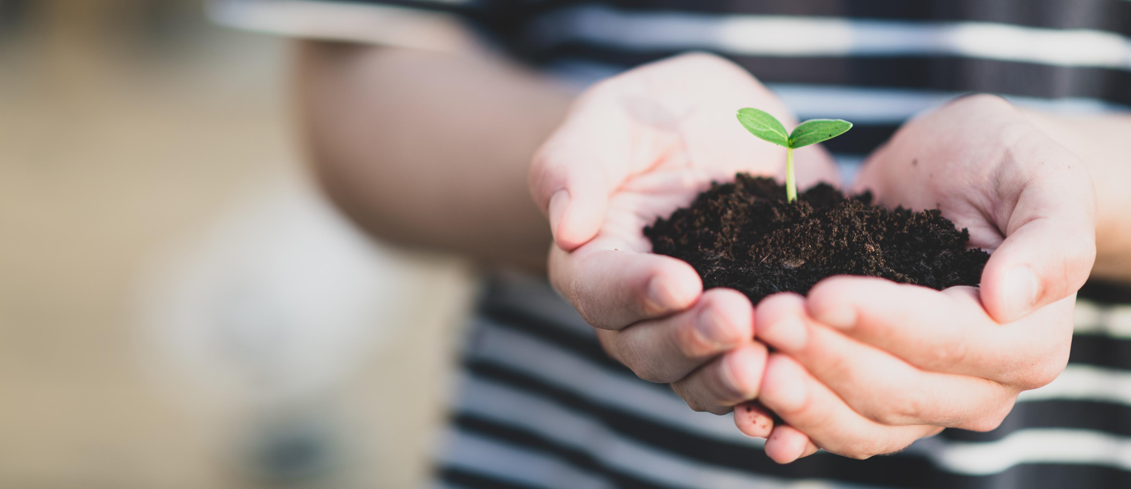 CTA setor alimentação